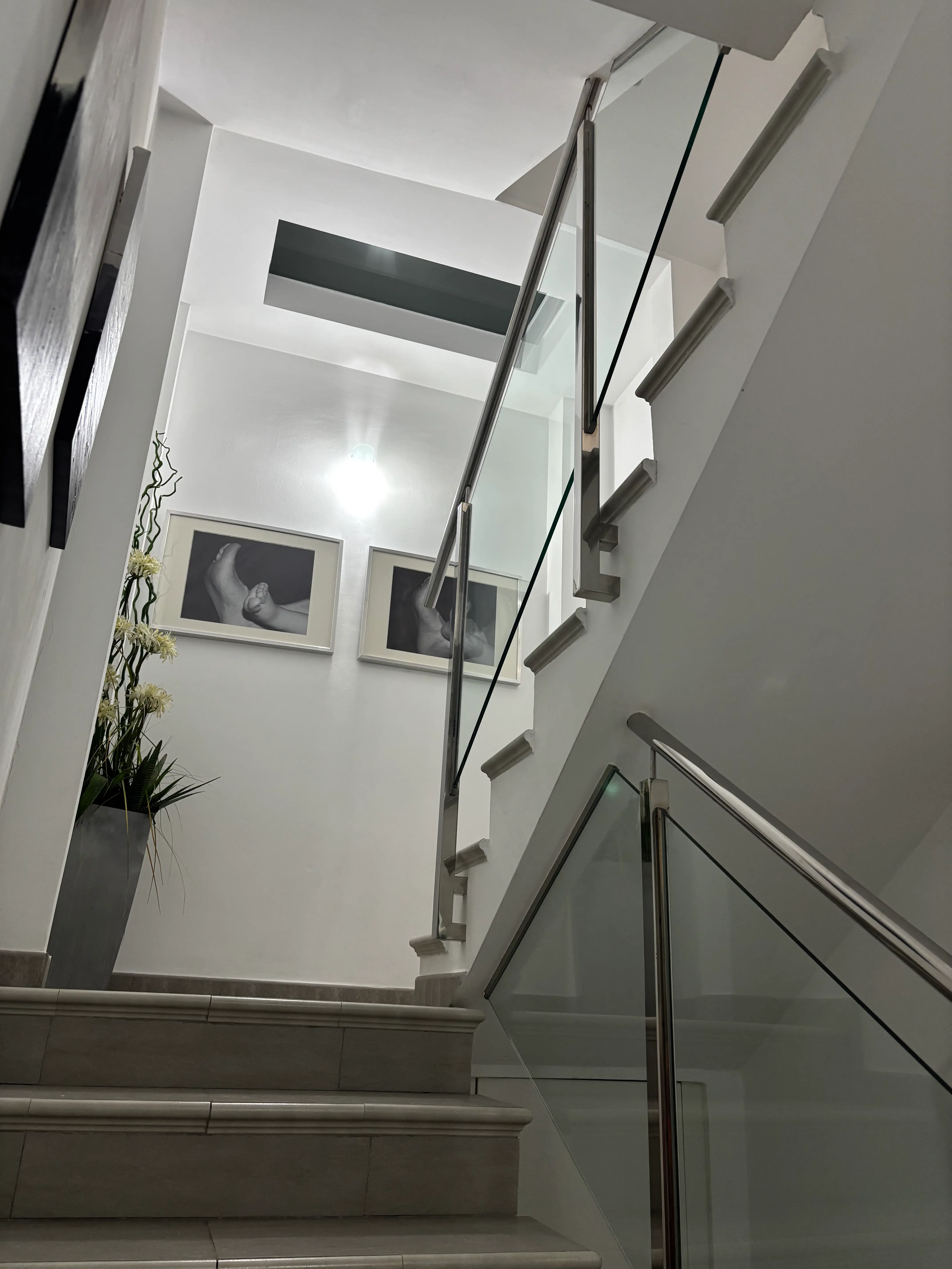 Descansillo en las escaleras entre la planta baja y la primera planta de la clínica, con dos cuadros de pies de niños pequeños y una planta.